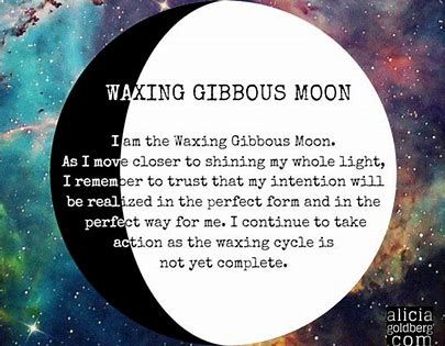 305d6c3ea54ef35df4c720241046d0c1