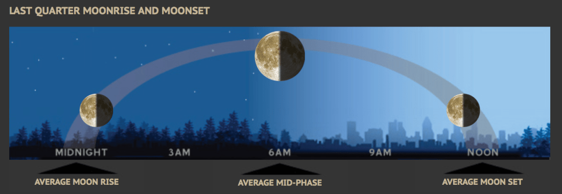 Screen Shot 2019-06-24 at 1.03.26 PM