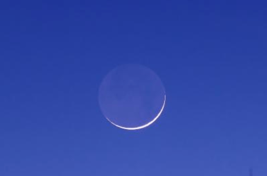 Screen Shot 2019-06-24 at 1.08.45 PM