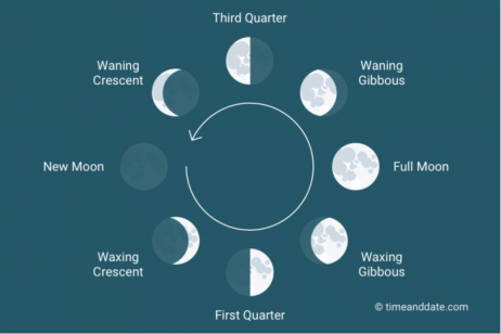 Screen Shot 2019-06-24 at 12.11.33 PM