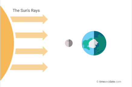 Screen Shot 2019-06-24 at 12.20.54 PM