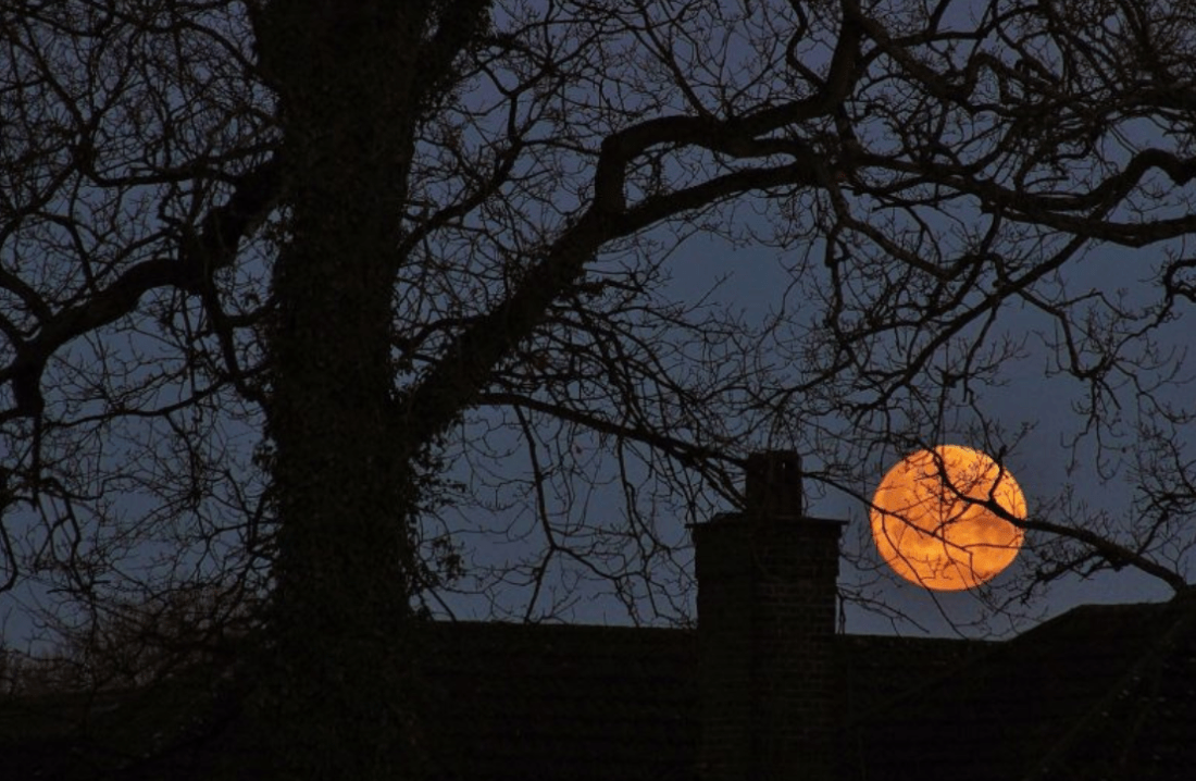 Screen Shot 2019-06-24 at 12.41.21 PM