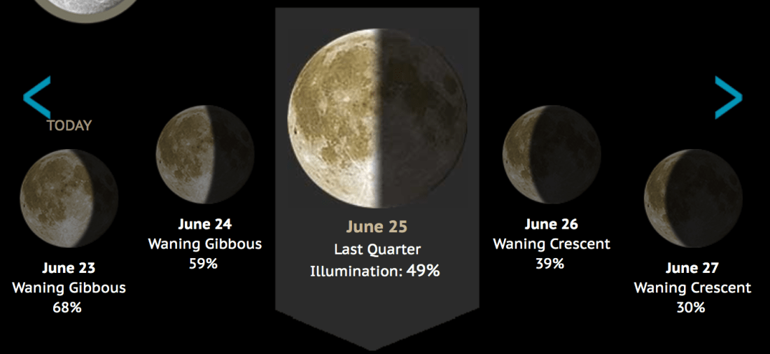 Screen Shot 2019-06-24 at 12.49.34 PM