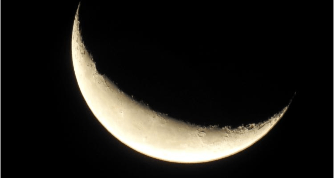 Screen Shot 2019-06-24 at 12.59.55 PM